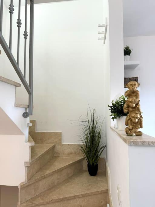 Casa Vacanza Elislor Apartments Φιουμιτσίνο Εξωτερικό φωτογραφία